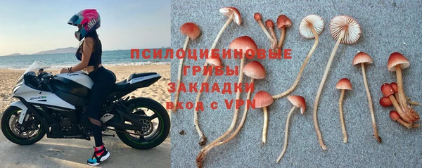 ГАЛЛЮЦИНОГЕННЫЕ ГРИБЫ Арсеньев